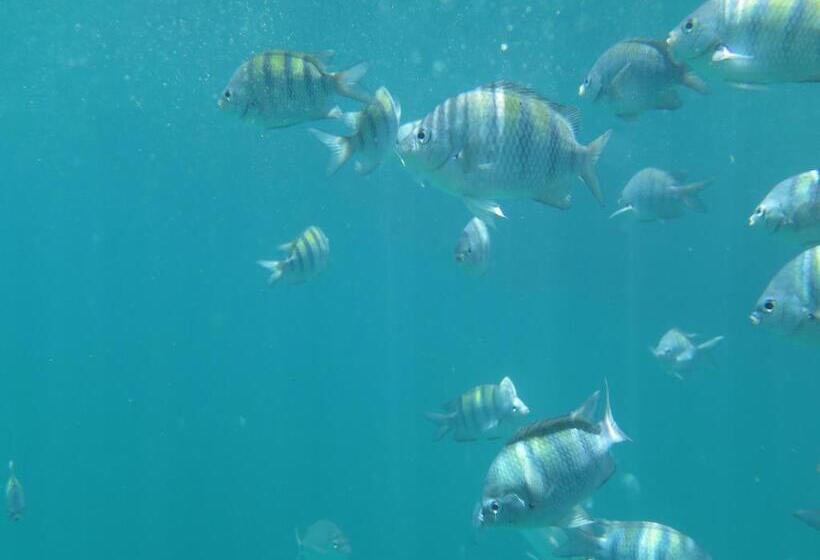 هتل Espaço álacre Paraty