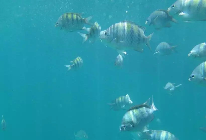 ホテル Espaço álacre Paraty