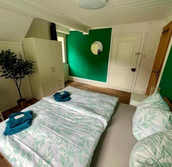 בית מלון כפרי Haus Biasca