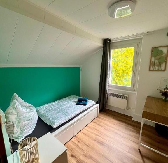 בית מלון כפרי Haus Biasca