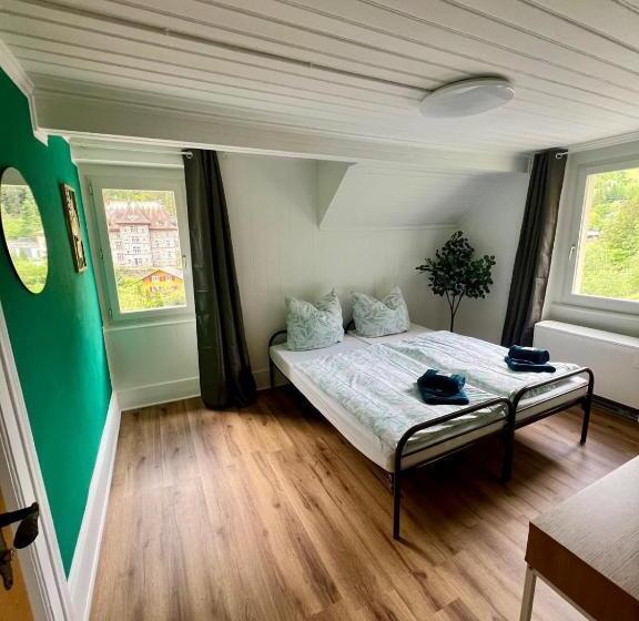 בית מלון כפרי Haus Biasca