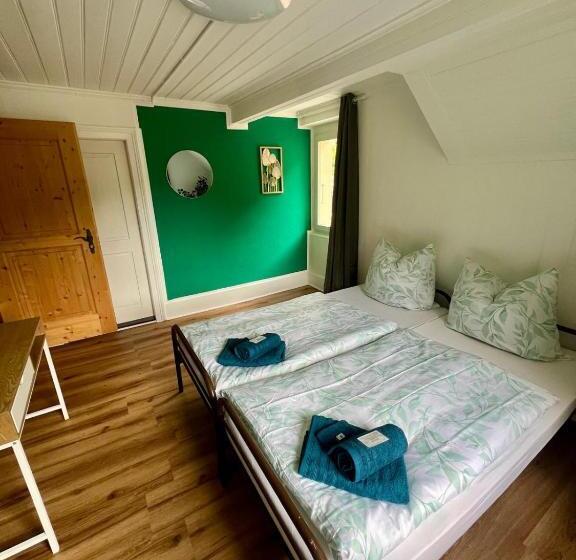 בית מלון כפרי Haus Biasca