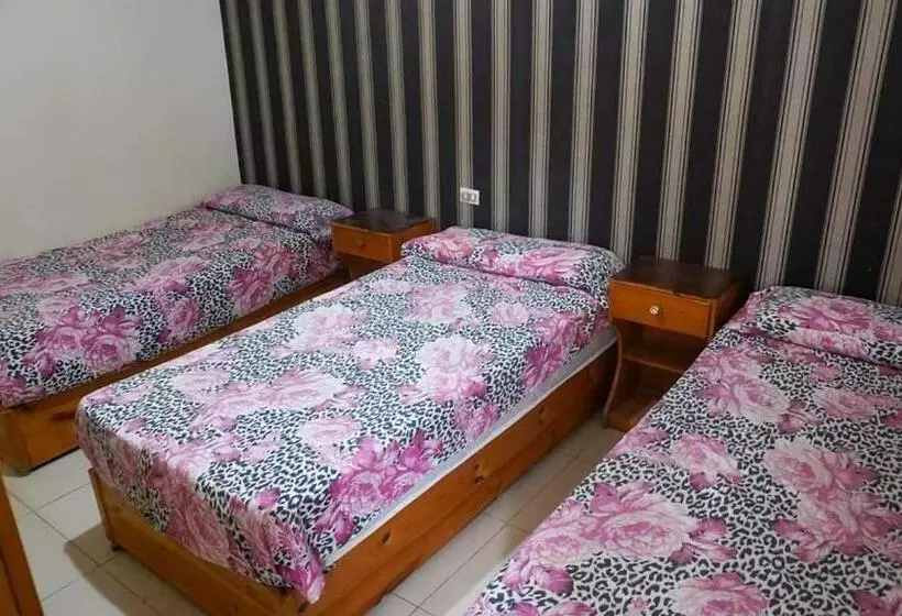 هتل Queen Palace