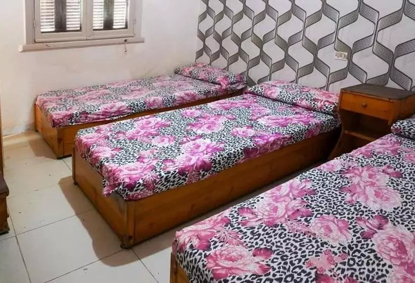 هتل Queen Palace