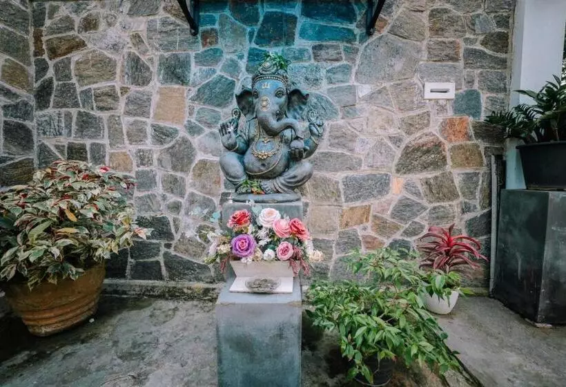 ペンション Bravon Villa