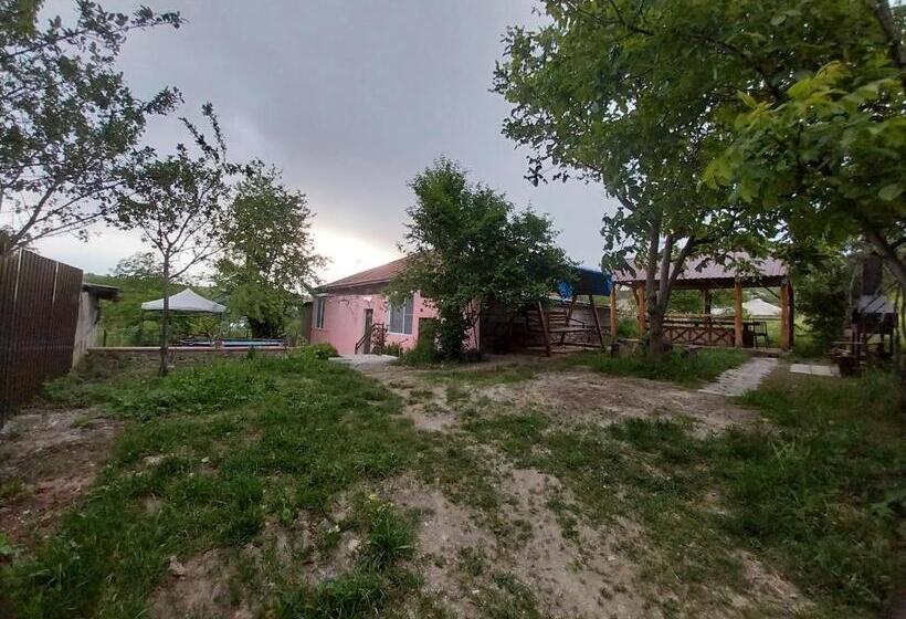 펜션 Chinchin Mansion   With Swimming Pool