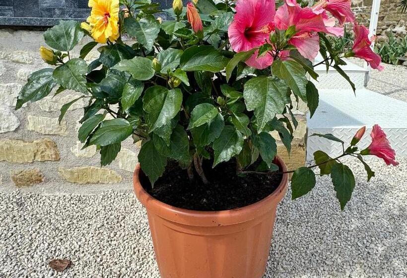 Пансион Le Gîte 24 Proche Du Futuroscope