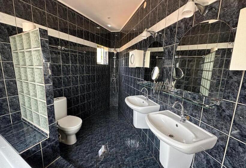 پانسیون Palm View