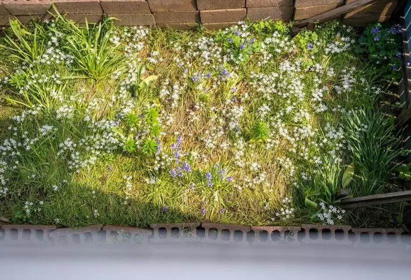 ペンション Rishiri Antique Inn