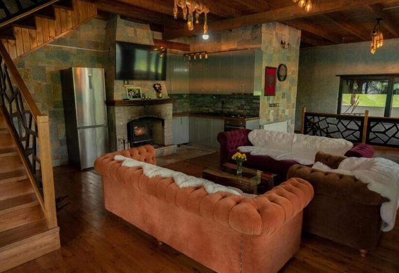 پانسیون Zeneli Alpin Chalet