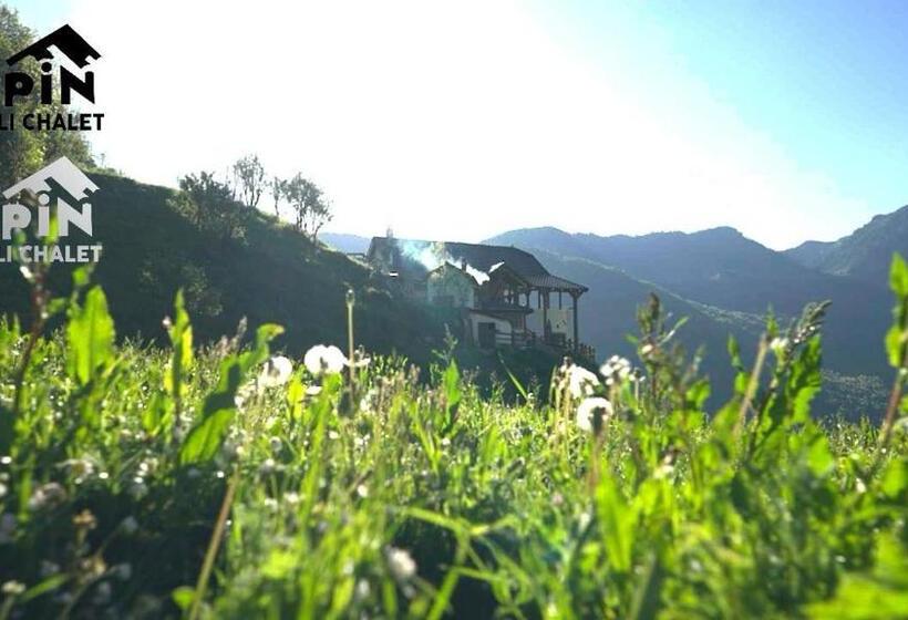 پانسیون Zeneli Alpin Chalet