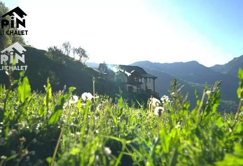 ペンション Zeneli Alpin Chalet