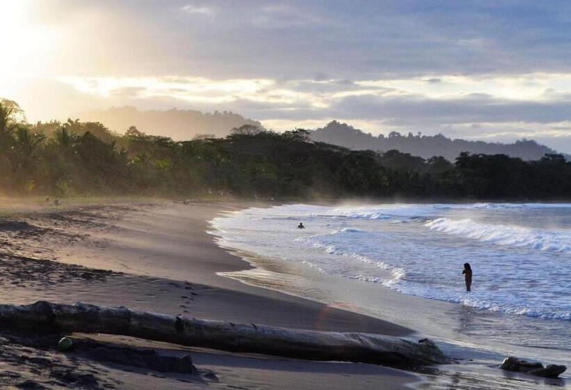 Studio With Ac, Smart Tv, Kitchen, Bath Pool 4