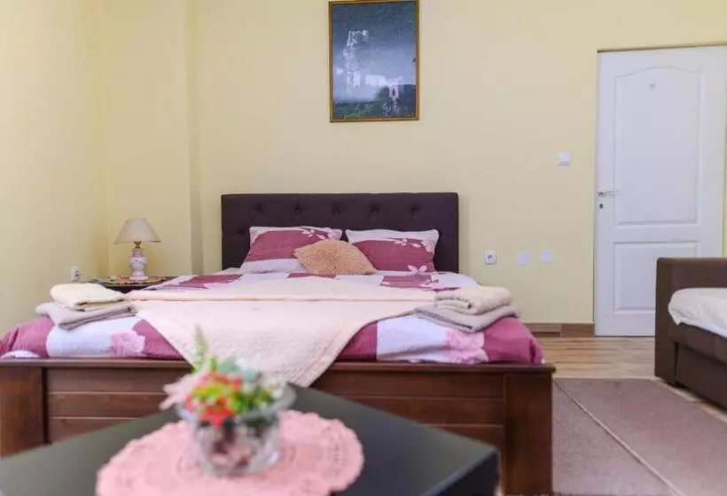 Vila Misljenovic, U Centru Sokobanje, Na Pesackoj Zoni