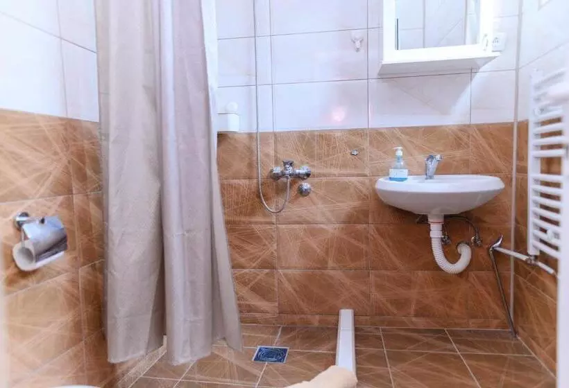 Vila Misljenovic, U Centru Sokobanje, Na Pesackoj Zoni