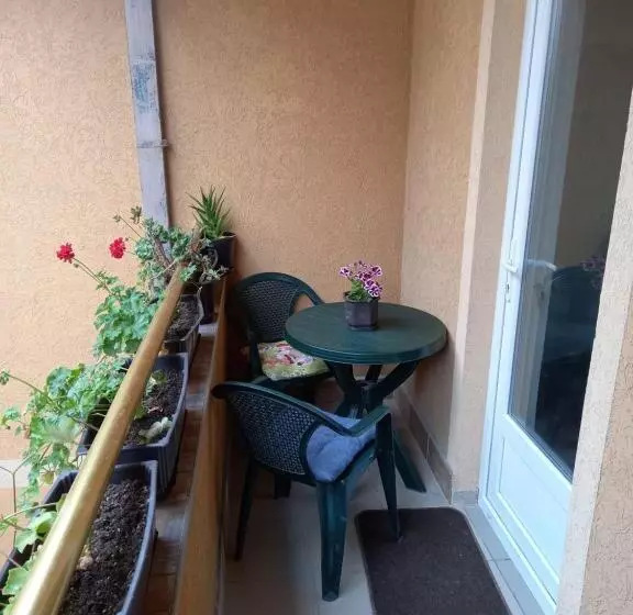 Vila Misljenovic, U Centru Sokobanje, Na Pesackoj Zoni