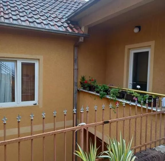 Vila Misljenovic, U Centru Sokobanje, Na Pesackoj Zoni