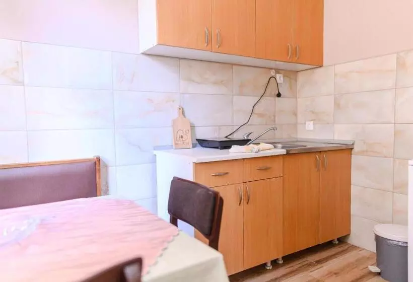 Vila Misljenovic, U Centru Sokobanje, Na Pesackoj Zoni