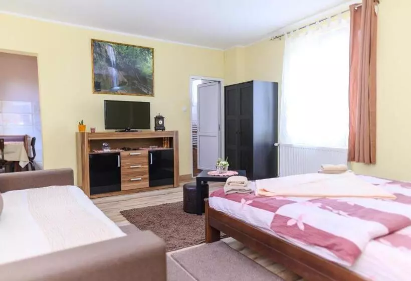 Vila Misljenovic, U Centru Sokobanje, Na Pesackoj Zoni