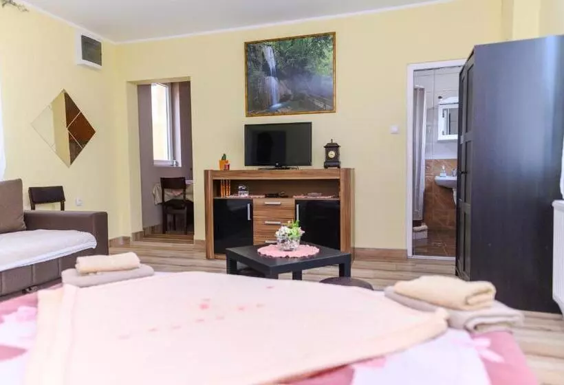 Vila Misljenovic, U Centru Sokobanje, Na Pesackoj Zoni