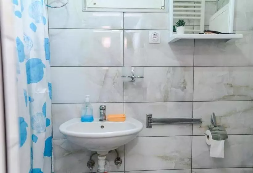 Vila Misljenovic, U Centru Sokobanje, Na Pesackoj Zoni