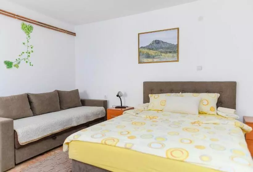 Vila Misljenovic, U Centru Sokobanje, Na Pesackoj Zoni