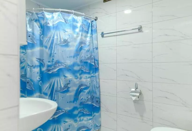 Vila Misljenovic, U Centru Sokobanje, Na Pesackoj Zoni