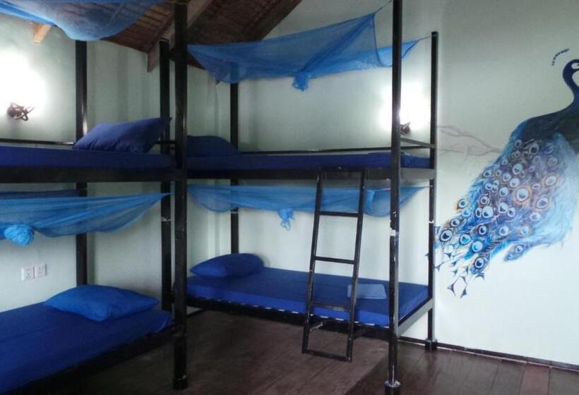 هاستل Arcadia Backpackers & Waterpark