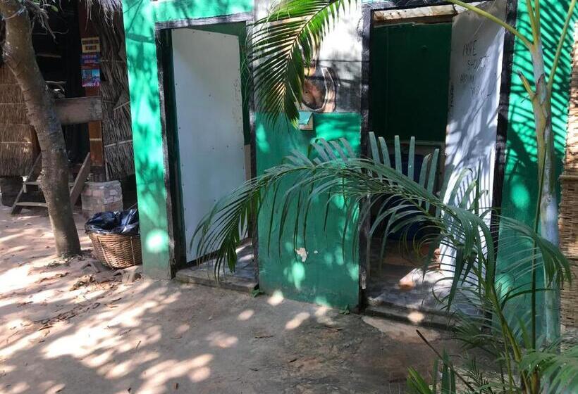 هاستل Arcadia Backpackers & Waterpark