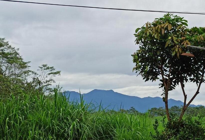 Hospedaria Eltari Pine House