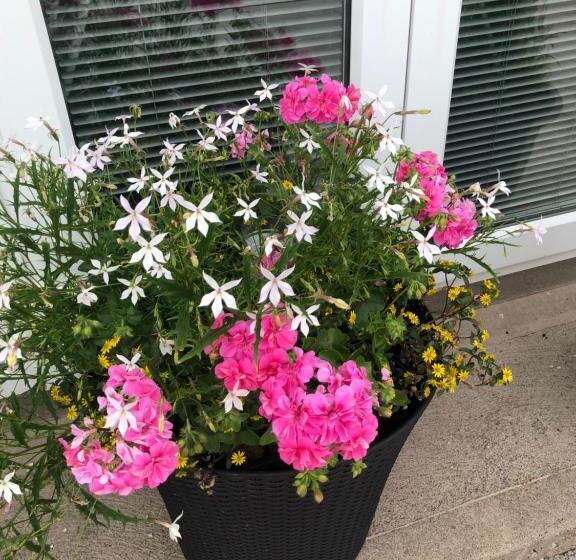 Bed and Breakfast Glendale House