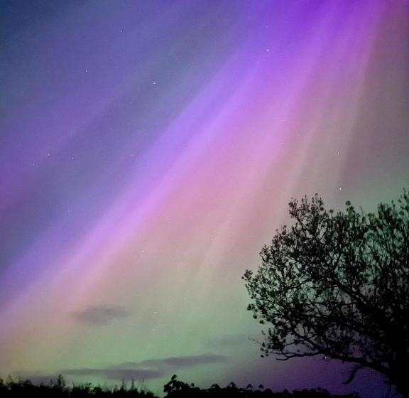 Bed and Breakfast Glendale House