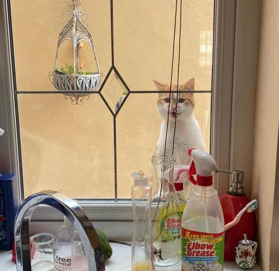 Bed and Breakfast Glendale House