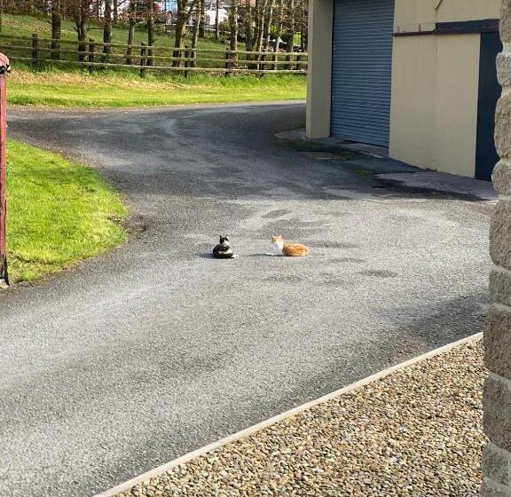 Bed and Breakfast Glendale House