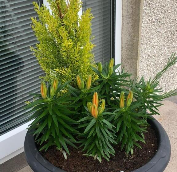 Bed and Breakfast Glendale House