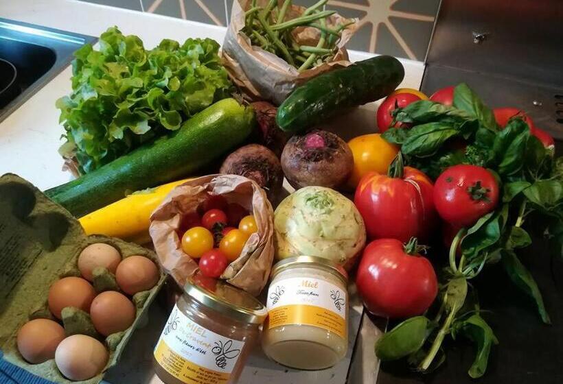 ベッドアンドブレックファースト La Véthinoise