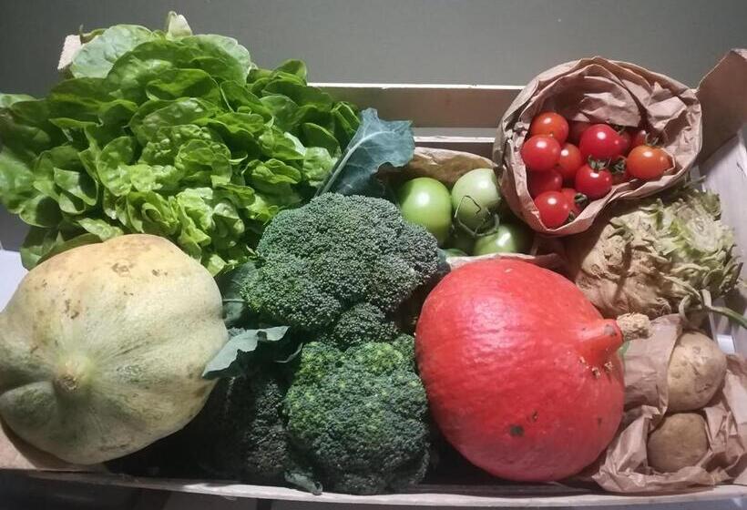 ベッドアンドブレックファースト La Véthinoise