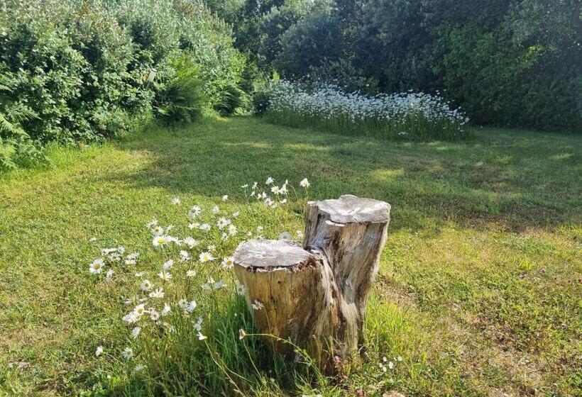 Nocleg ze śniadaniem Ocean Breeze Cottage