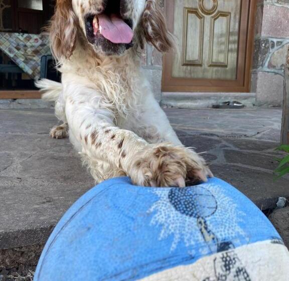 צימר Yakamoz Motel & Restaurant