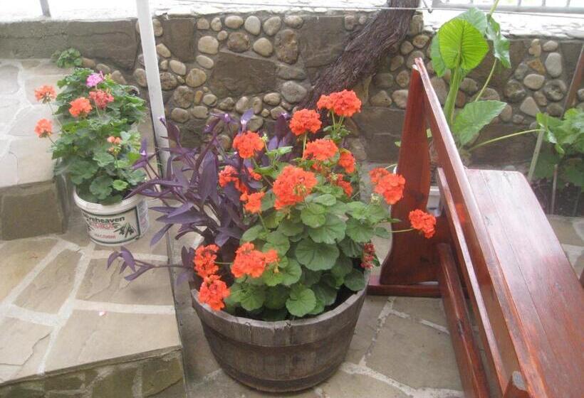 Famili Hotel Barba Yani