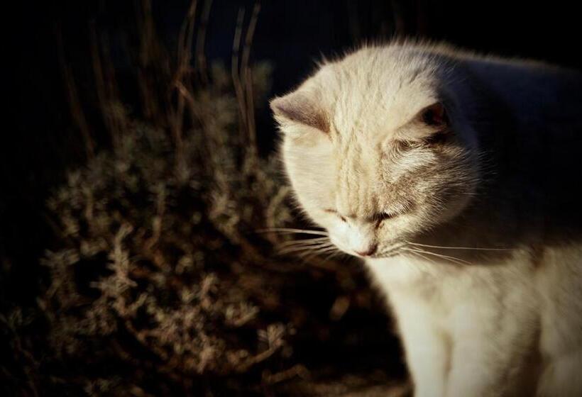 فندق Agriturismo La Molina