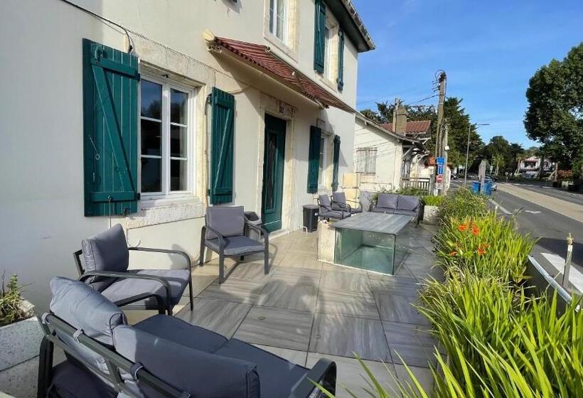 Le Doolie S Hostel B&b