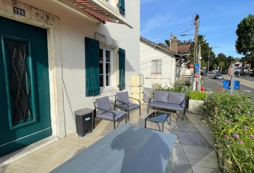 Le Doolie S Hostel B&b