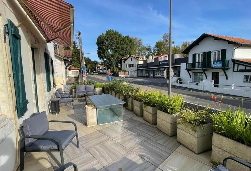 Le Doolie S Hostel B&b