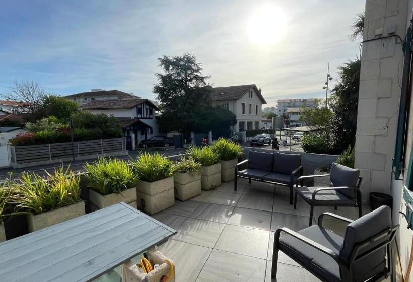 Le Doolie S Hostel B&b