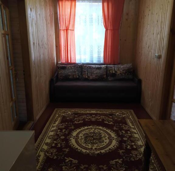 膳宿费 білий птах