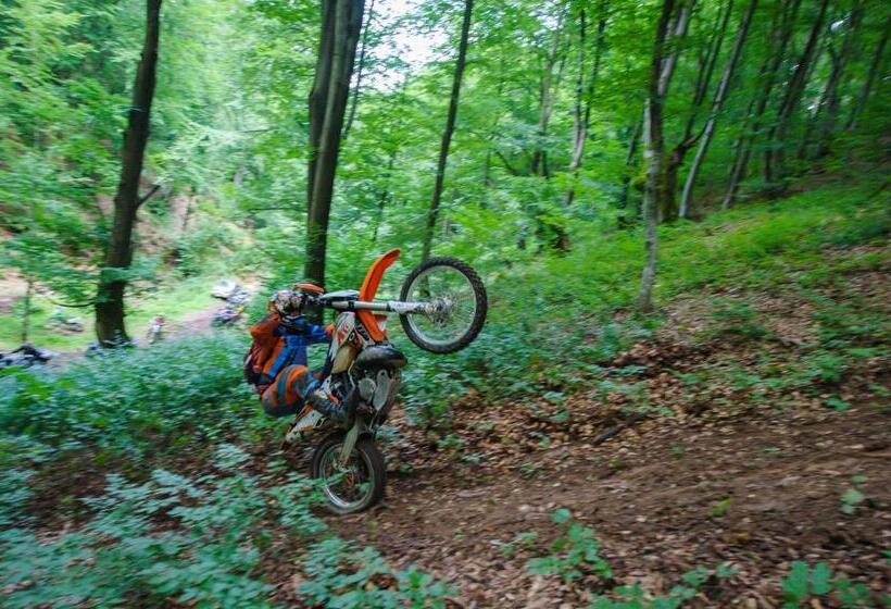 פנסיון Casa Bucatarului