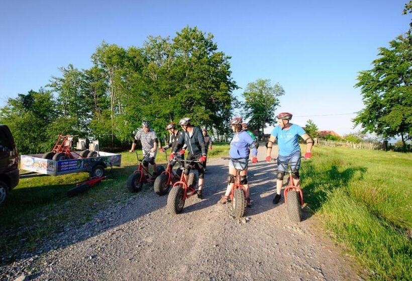 פנסיון Casa Bucatarului