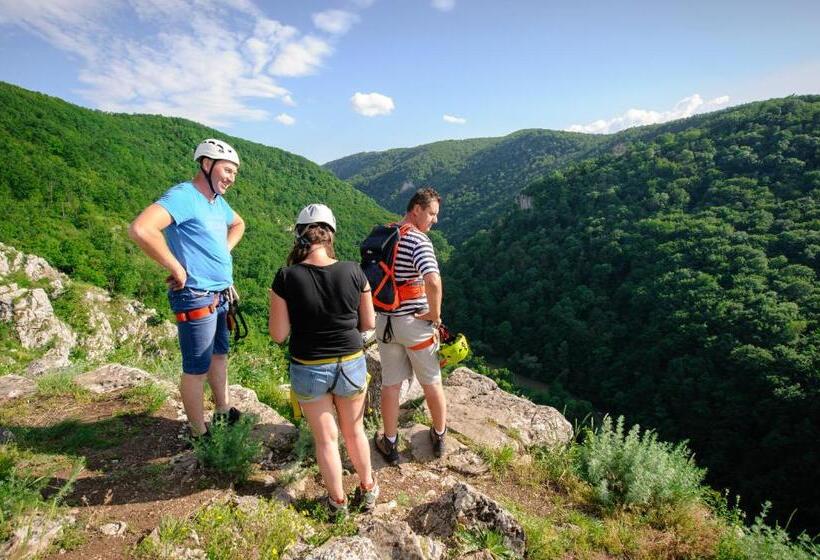 פנסיון Casa Bucatarului