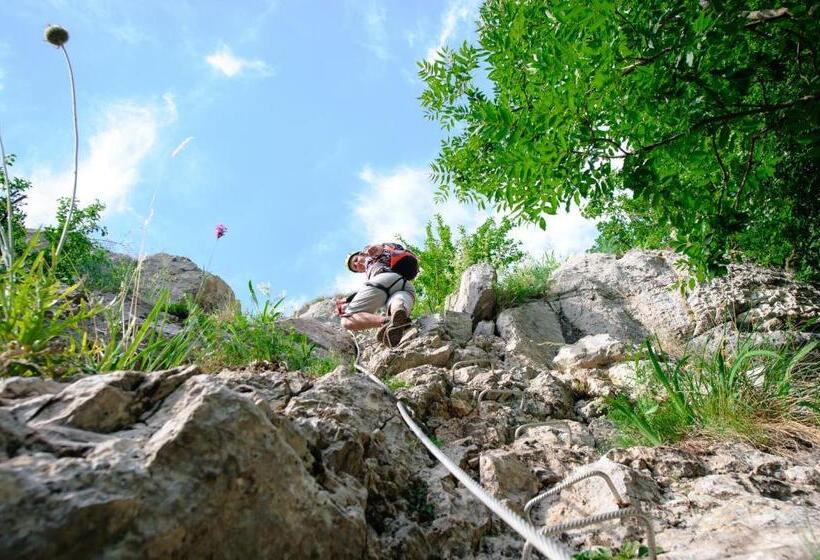 פנסיון Casa Bucatarului